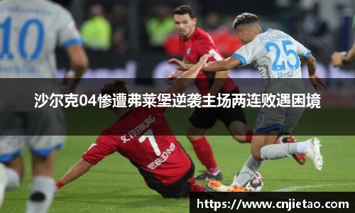 NG体育官网