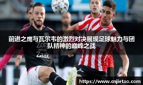 NG体育官网