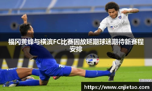 NG体育官网