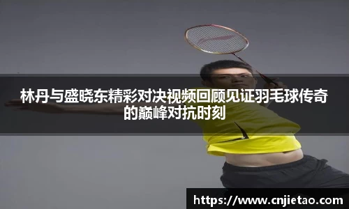 林丹与盛晓东精彩对决视频回顾见证羽毛球传奇的巅峰对抗时刻