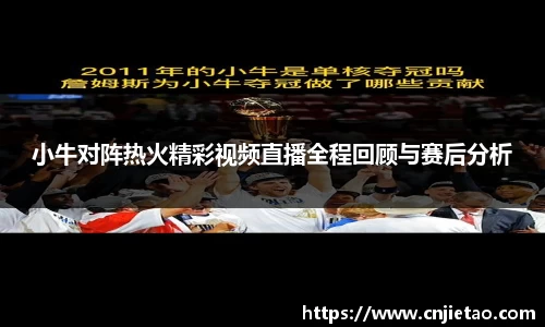 小牛对阵热火精彩视频直播全程回顾与赛后分析
